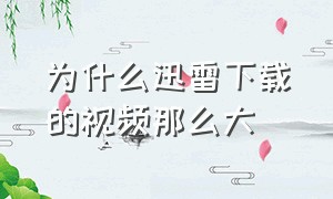 为什么迅雷下载的视频那么大