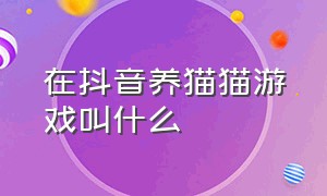 在抖音养猫猫游戏叫什么