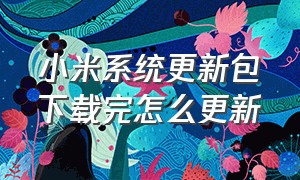 小米系统更新包下载完怎么更新