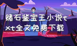 赌石鉴宝王小说txt全文免费下载