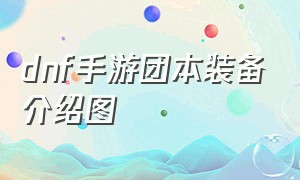 dnf手游团本装备介绍图