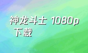 神龙斗士 1080p 下载