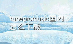 tunepromusic国内怎么下载