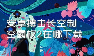 安卓搏击长空制空霸权2在哪下载