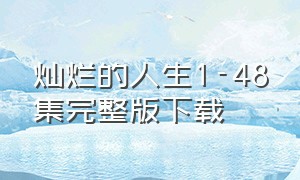 灿烂的人生1-48集完整版下载