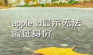 apple id显示无法验证身份