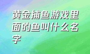 黄金捕鱼游戏里面的鱼叫什么名字