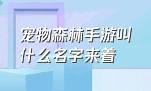 宠物森林手游叫什么名字来着