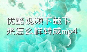 优酷视频下载下来怎么样转成mp4