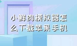 小鲜肉模拟器怎么下载苹果手机