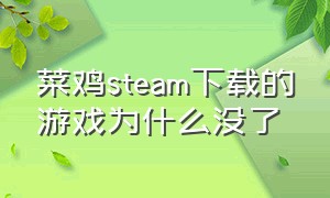 菜鸡steam下载的游戏为什么没了