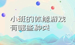 小班的体能游戏有哪些种类