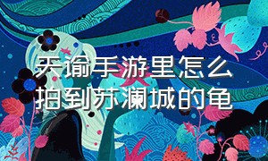 天谕手游里怎么拍到苏澜城的龟