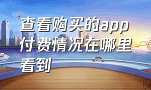 查看购买的app付费情况在哪里看到