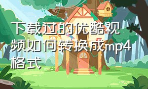 下载过的优酷视频如何转换成mp4格式