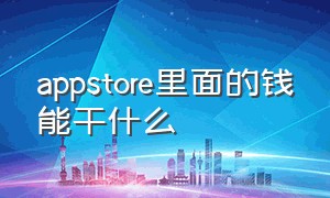 appstore里面的钱能干什么