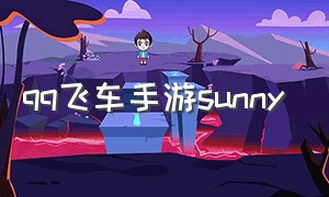 qq飞车手游sunny