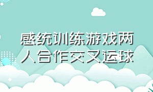 感统训练游戏两人合作交叉运球