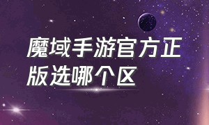 魔域手游官方正版选哪个区