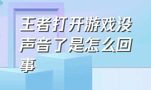 王者打开游戏没声音了是怎么回事