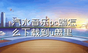 汽水音乐pc端怎么下载到u盘里