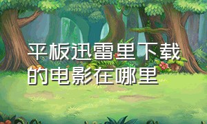 平板迅雷里下载的电影在哪里