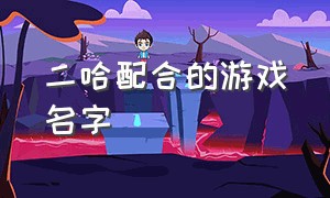 二哈配合的游戏名字