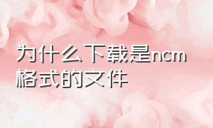 为什么下载是ncm格式的文件