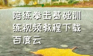 陪练拳击基础训练视频教程下载百度云