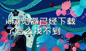 ie浏览器已经下载了怎么找不到