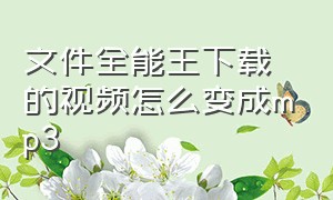 文件全能王下载的视频怎么变成mp3