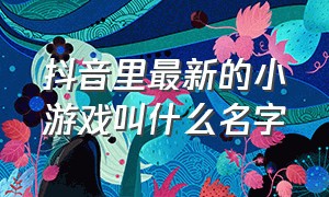 抖音里最新的小游戏叫什么名字