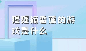 猩猩摘香蕉的游戏是什么