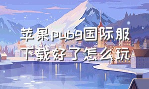 苹果pubg国际服下载好了怎么玩