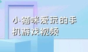 小猫咪爱玩的手机游戏视频