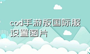 cod手游版国际服设置图片