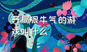 开局很牛气的游戏叫什么