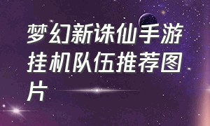 梦幻新诛仙手游挂机队伍推荐图片