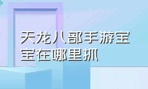 天龙八部手游宝宝在哪里抓