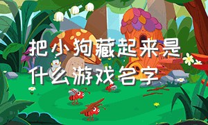 把小狗藏起来是什么游戏名字