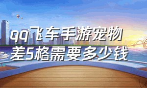 qq飞车手游宠物差5格需要多少钱