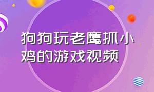 狗狗玩老鹰抓小鸡的游戏视频