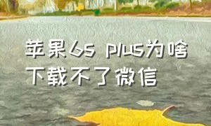 苹果6s plus为啥下载不了微信