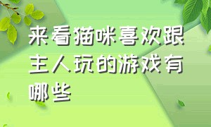 来看猫咪喜欢跟主人玩的游戏有哪些