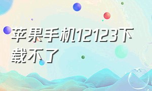 苹果手机12123下载不了