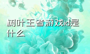 树叶王者游戏id是什么