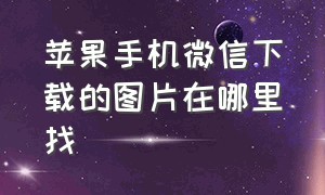 苹果手机微信下载的图片在哪里找