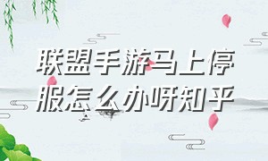 联盟手游马上停服怎么办呀知乎