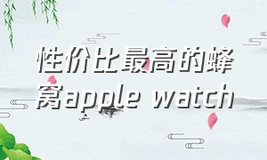 性价比最高的蜂窝apple watch