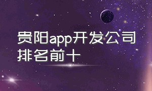 贵阳app开发公司排名前十